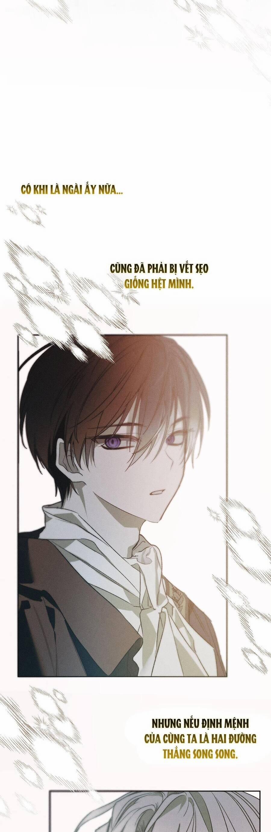 Vị Phu Quân Căm Ghét Tôi Đã Mất Trí Nhớ 28 trang 62