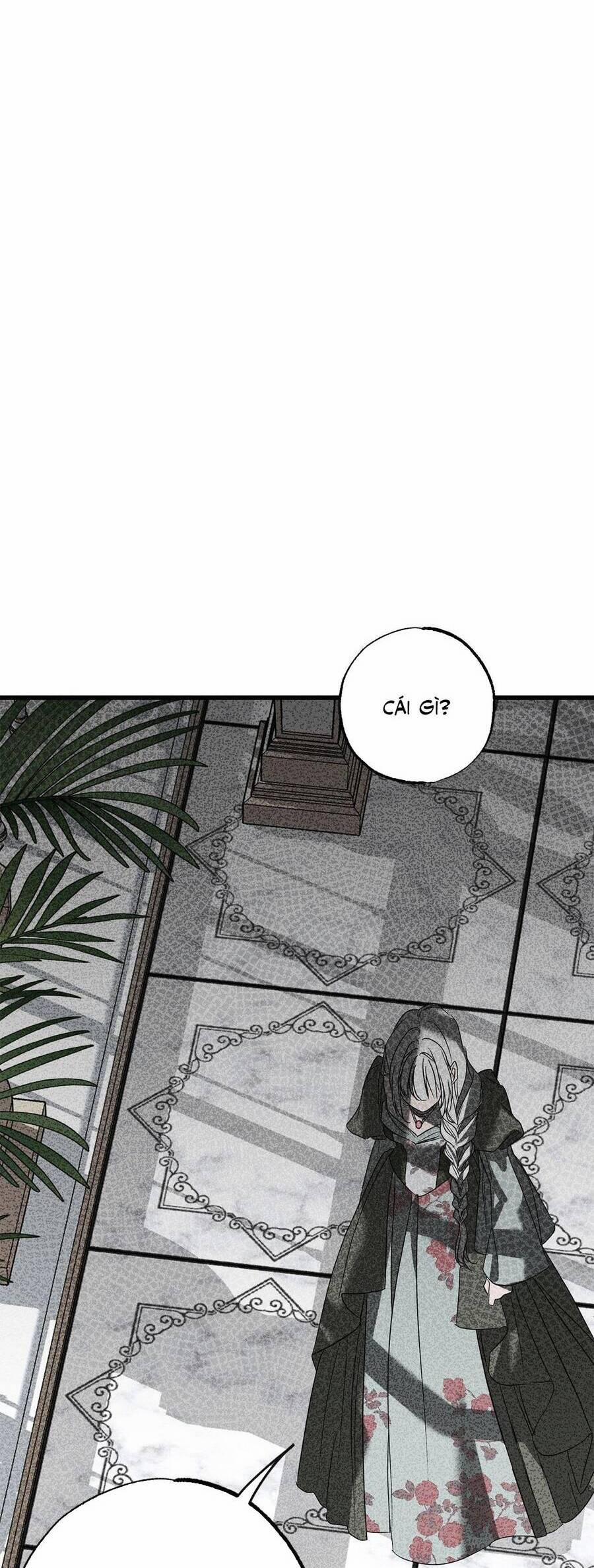 Vị Phu Quân Căm Ghét Tôi Đã Mất Trí Nhớ 36 trang 11