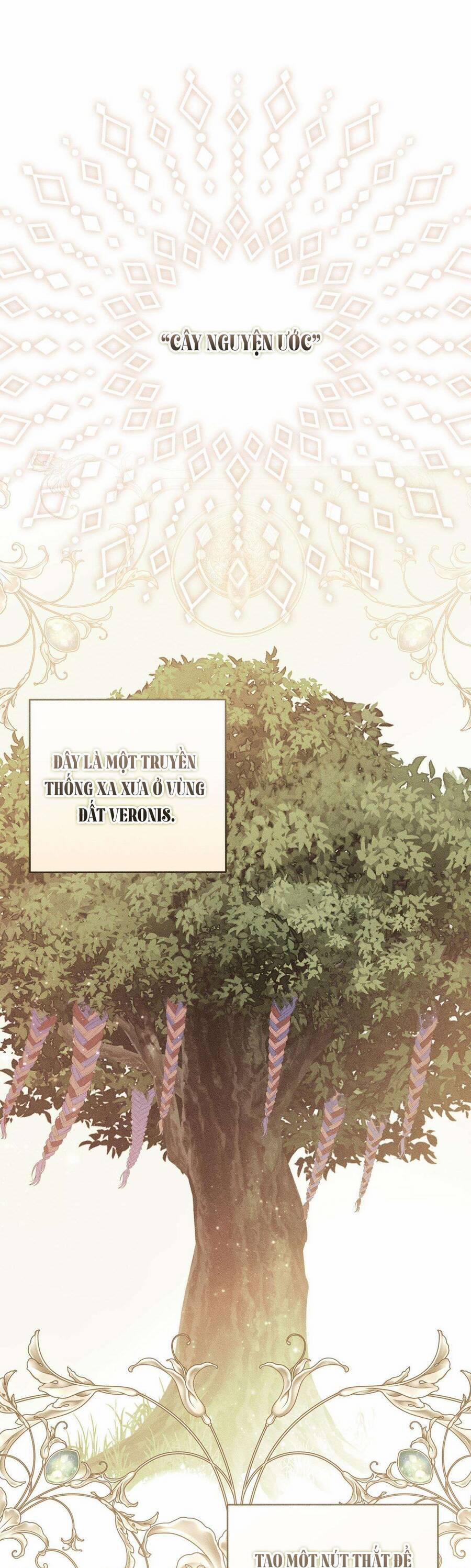 Vị Phu Quân Căm Ghét Tôi Đã Mất Trí Nhớ 42 trang 20