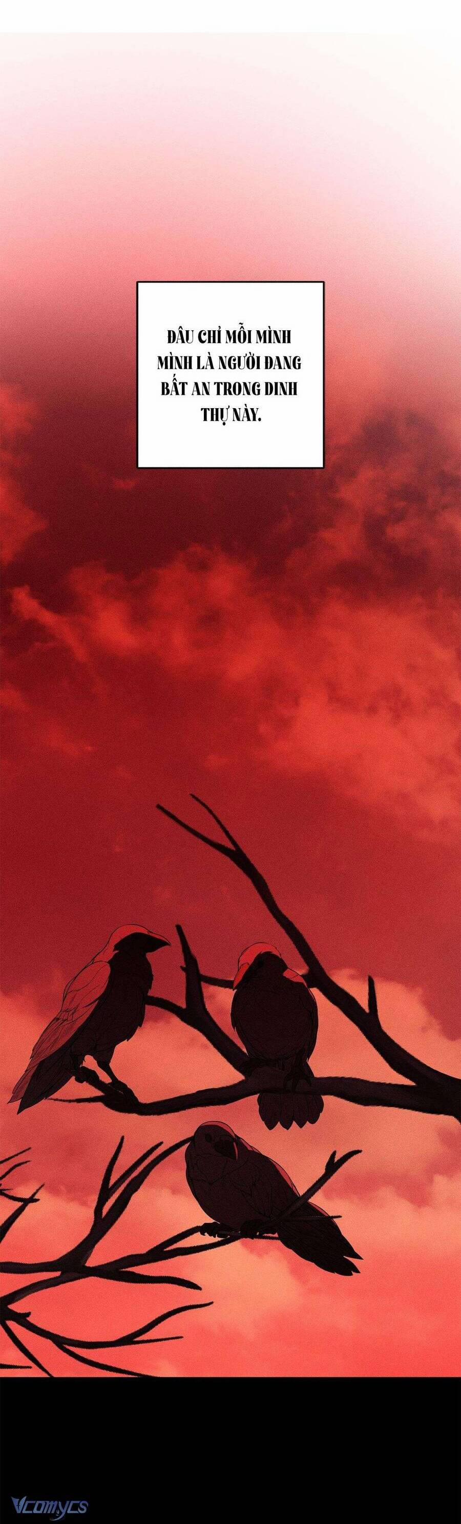 Vị Phu Quân Căm Ghét Tôi Đã Mất Trí Nhớ 42 trang 6