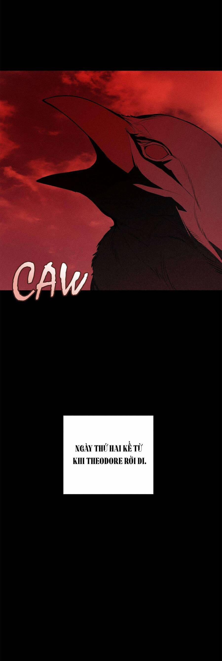 Vị Phu Quân Căm Ghét Tôi Đã Mất Trí Nhớ 42 trang 7