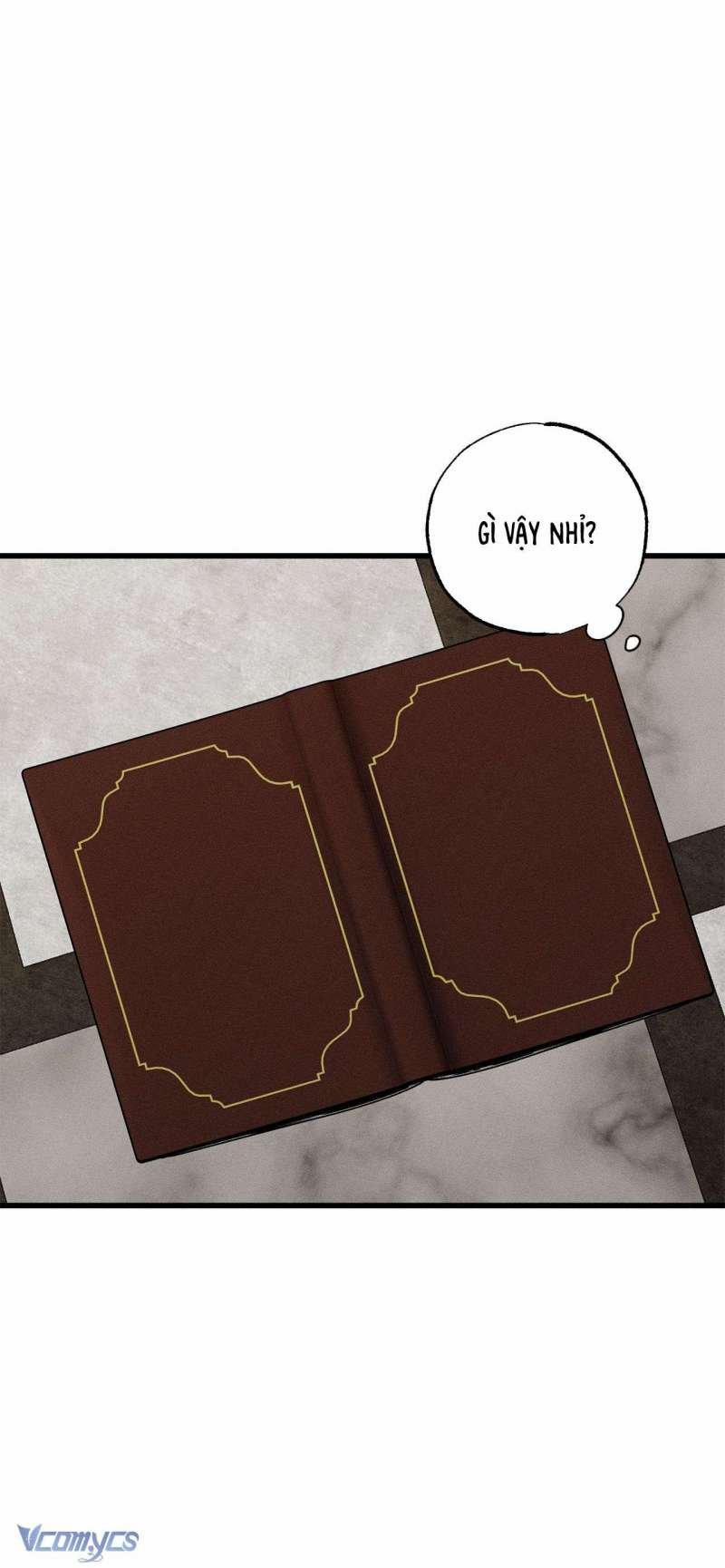 Vị Phu Quân Căm Ghét Tôi Đã Mất Trí Nhớ 46 trang 11