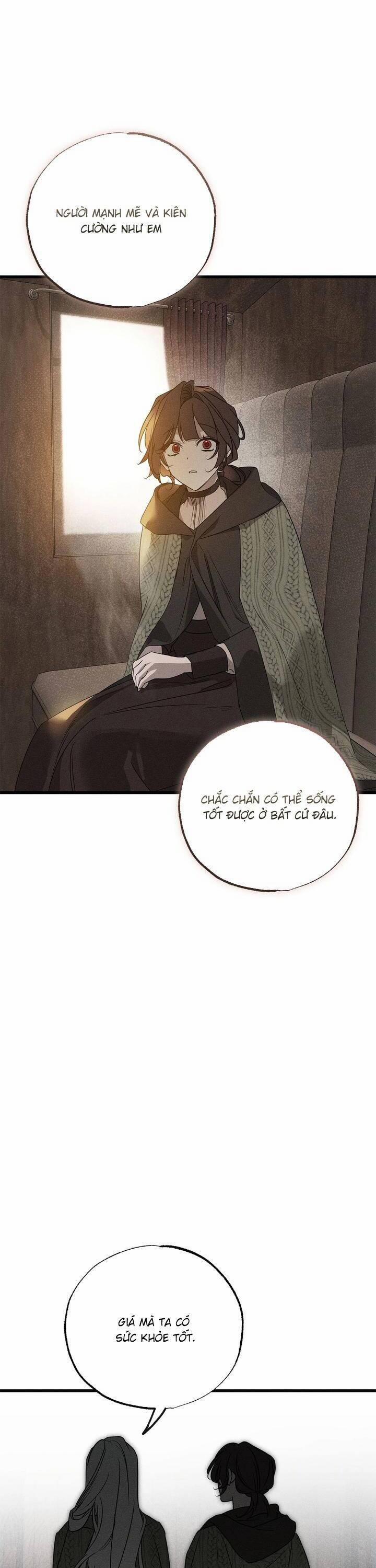 Vị Phu Quân Căm Ghét Tôi Đã Mất Trí Nhớ 54 trang 7