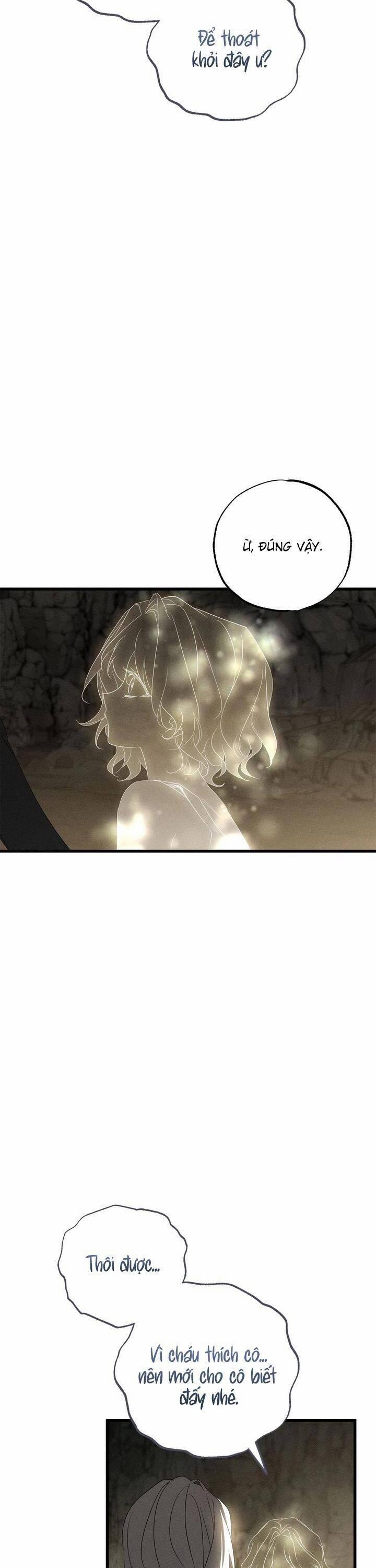 Vị Phu Quân Căm Ghét Tôi Đã Mất Trí Nhớ 61 trang 33