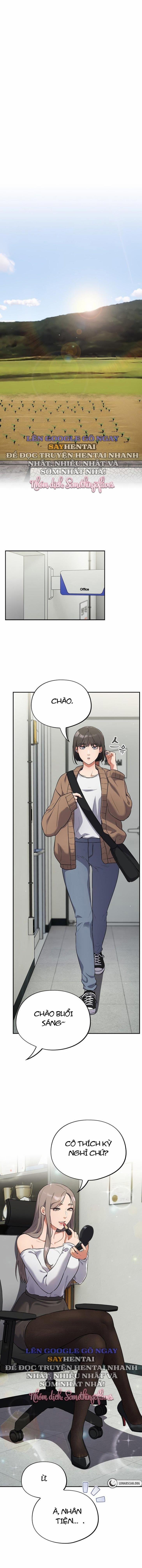 Vi Rút Ngu Ngốc 13 trang 0