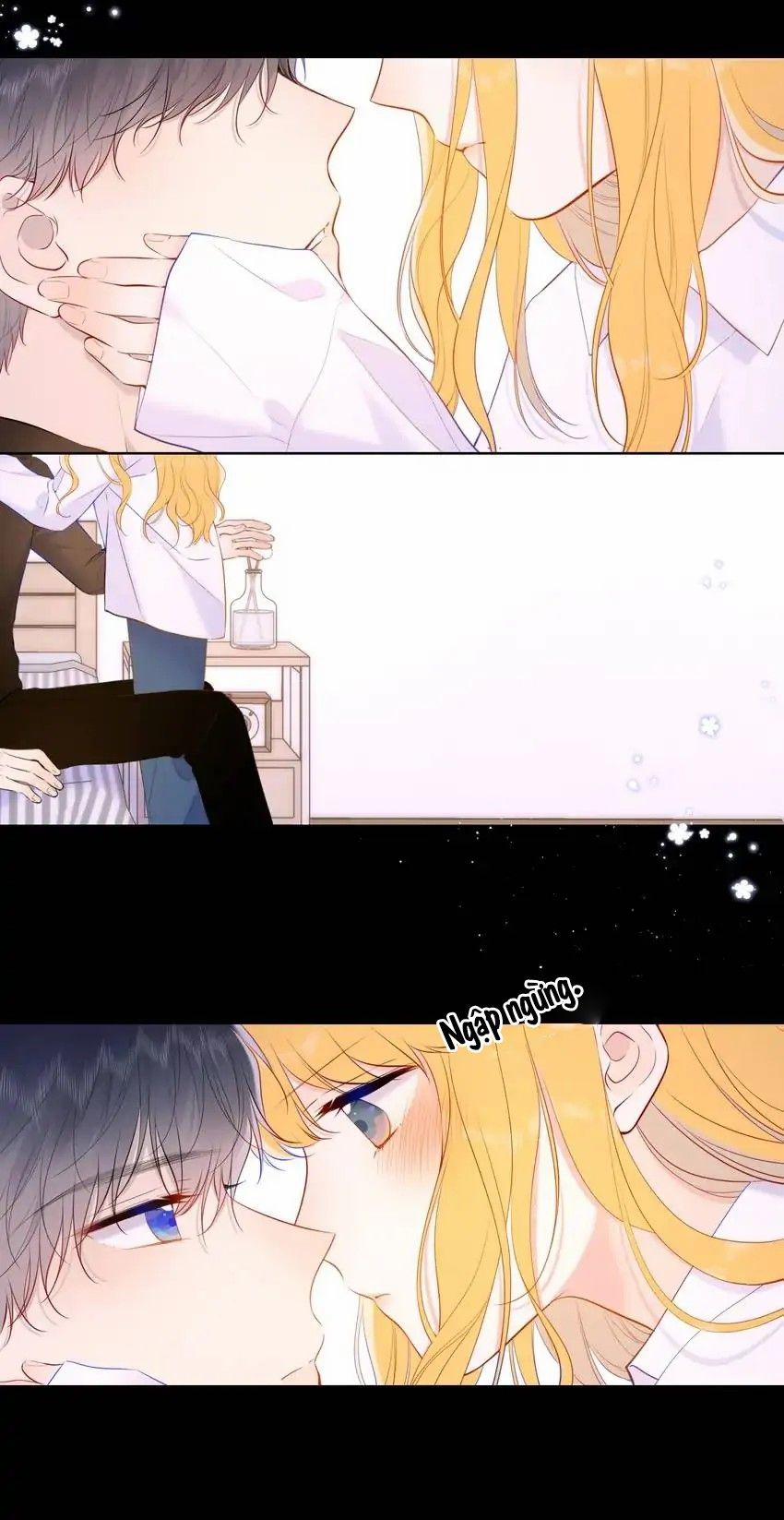 Vì Sao Của Tôi 115 trang 11