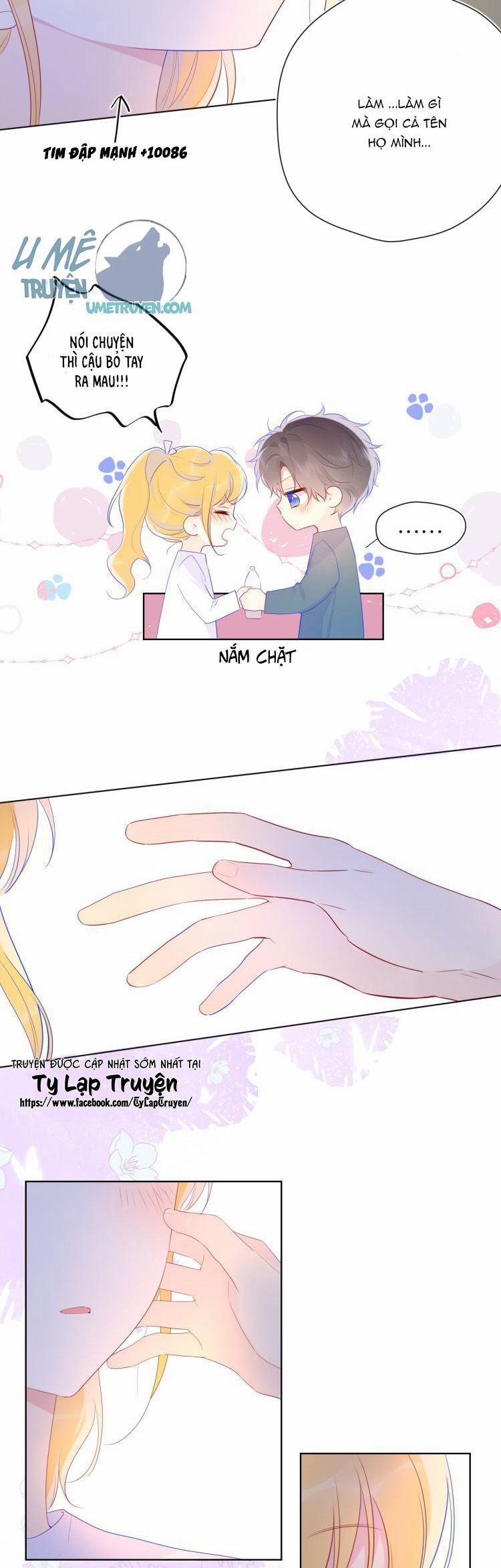 Vì Sao Của Tôi 29 trang 11