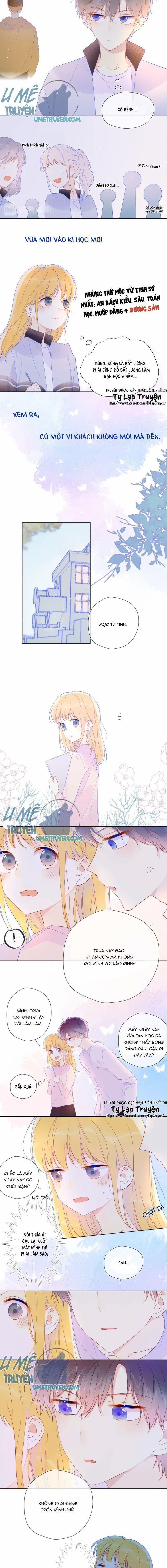 Vì Sao Của Tôi 30 trang 4