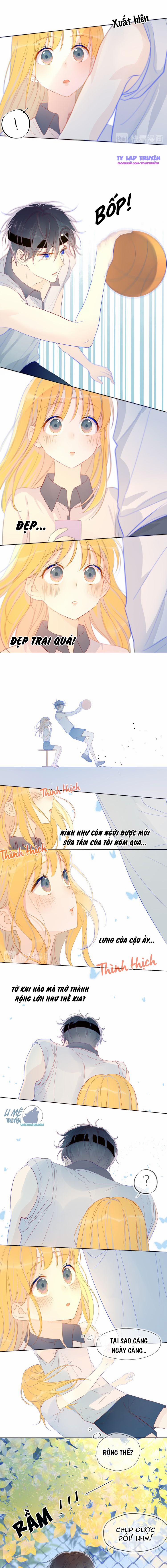 Vì Sao Của Tôi 7 trang 4