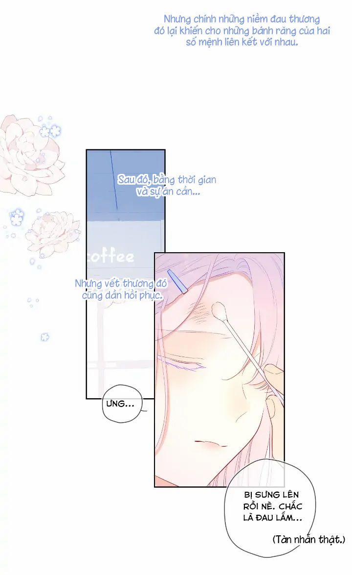 Vì Sao Của Tôi 96 trang 14