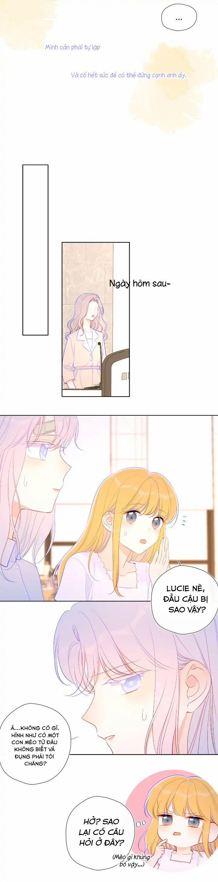 Vì Sao Của Tôi 96 trang 16