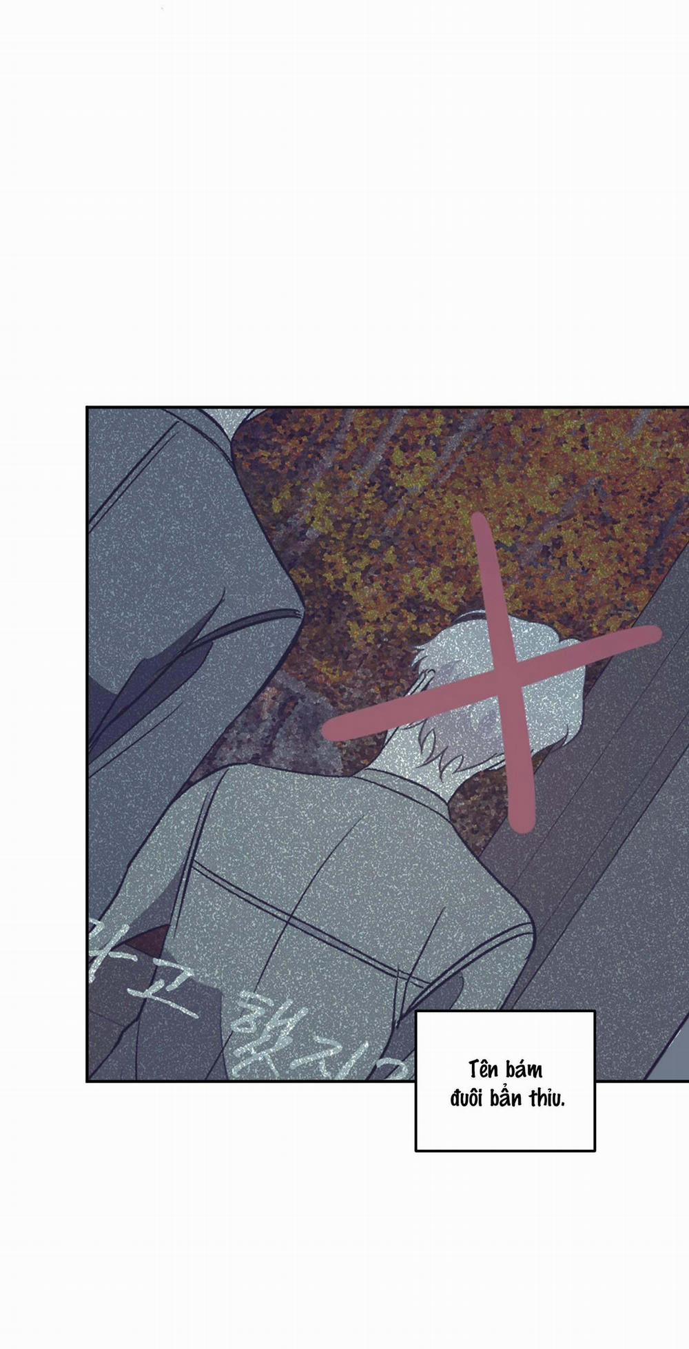 Vì Sự Vĩnh Cửu 11 trang 1