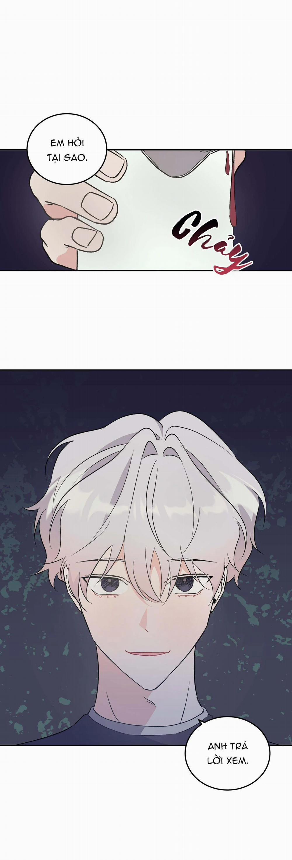 Vì Sự Vĩnh Cửu 11 trang 11