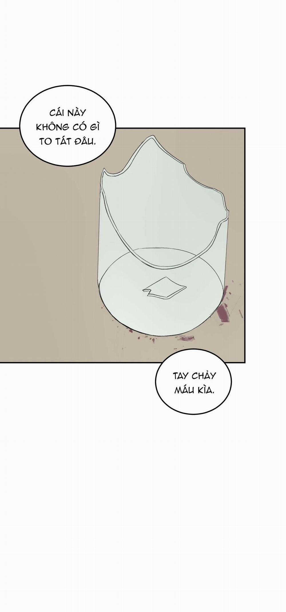 Vì Sự Vĩnh Cửu 11 trang 17