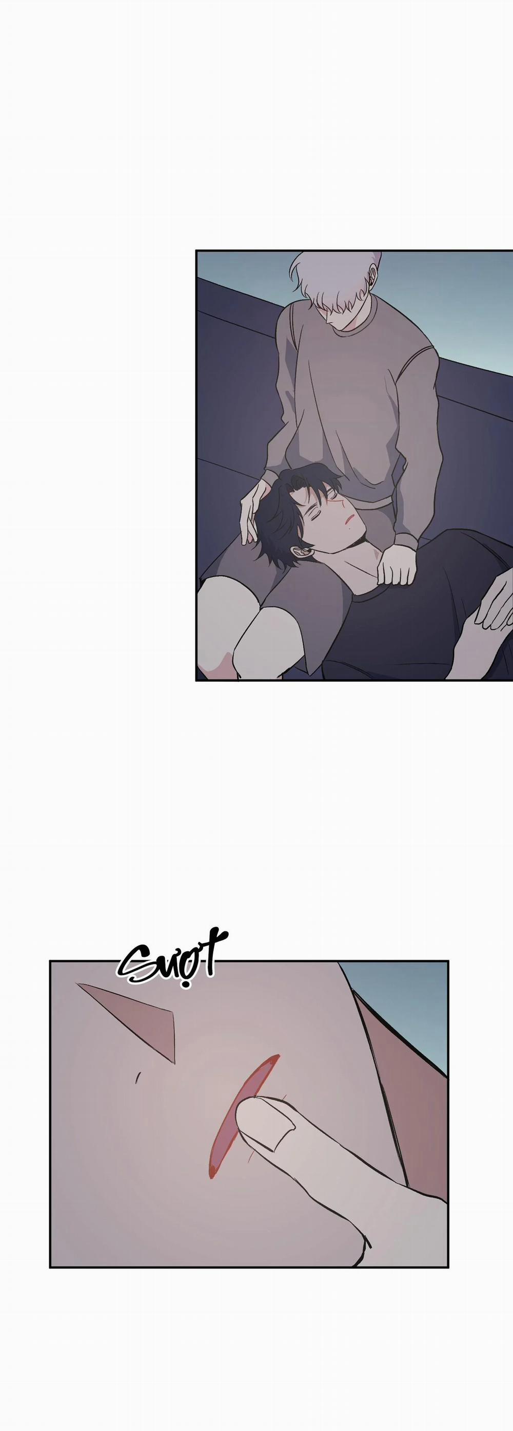 Vì Sự Vĩnh Cửu 12 trang 23