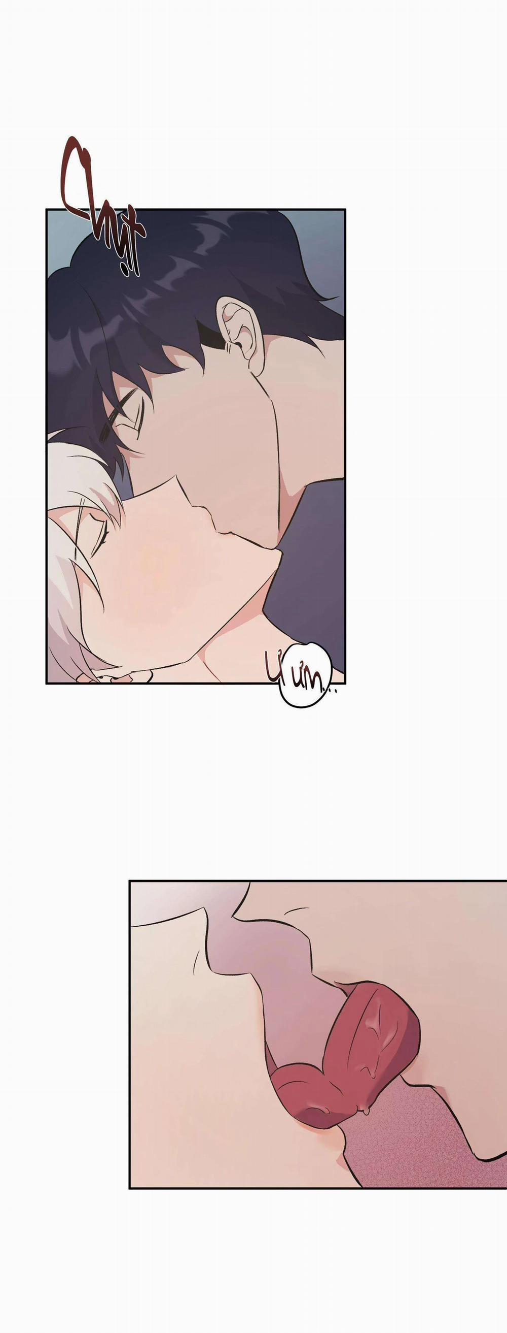 Vì Sự Vĩnh Cửu 13 trang 11