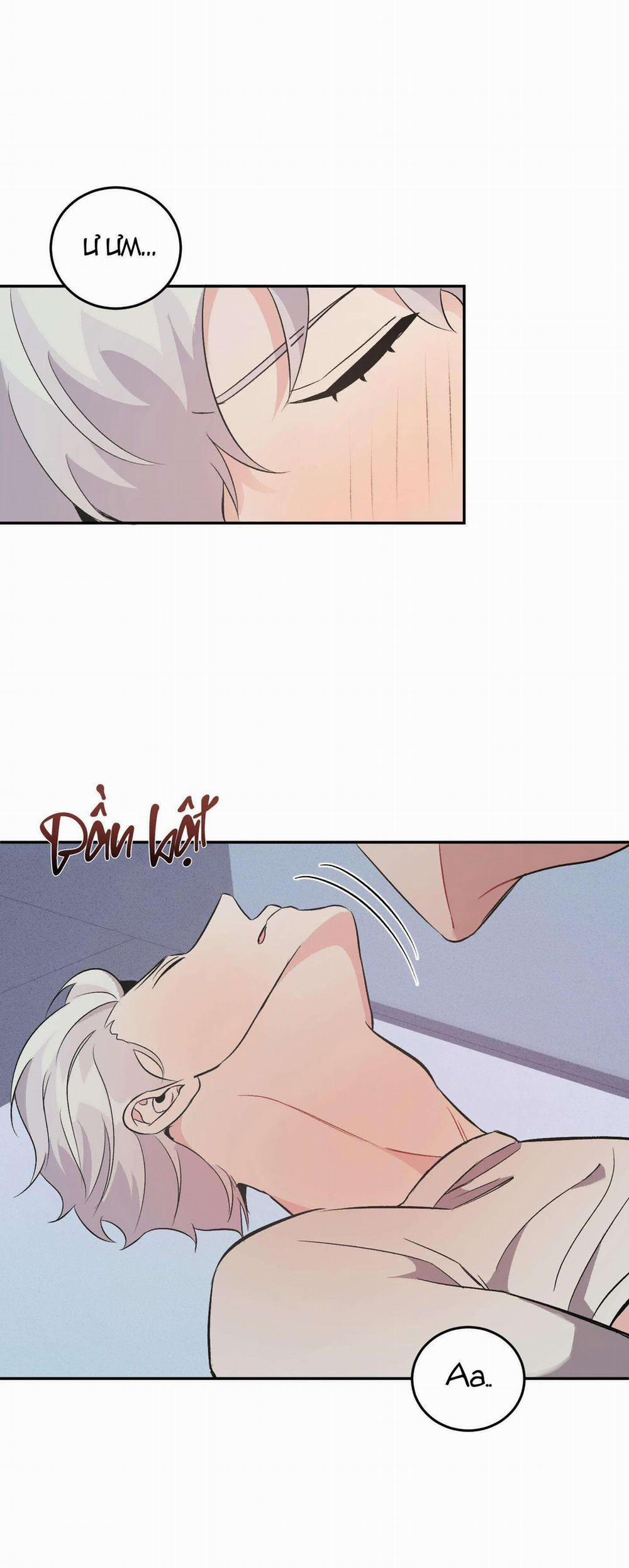 Vì Sự Vĩnh Cửu 13 trang 13