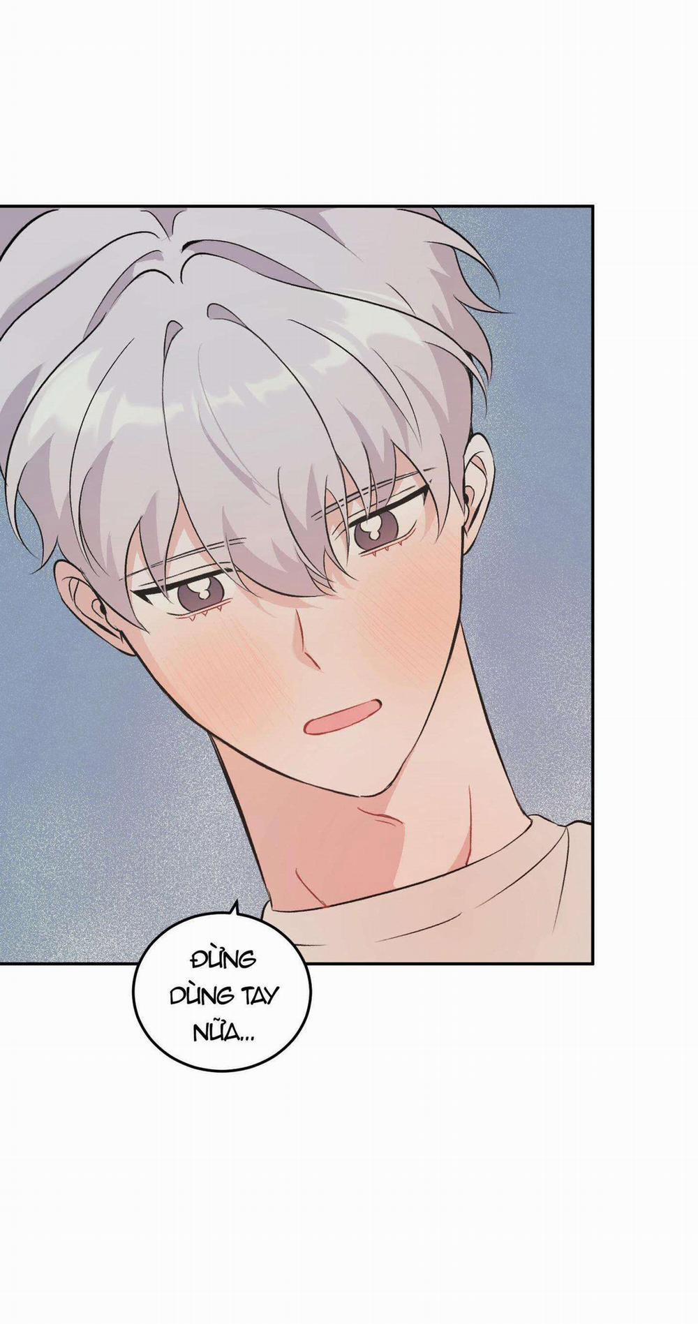 Vì Sự Vĩnh Cửu 13 trang 16