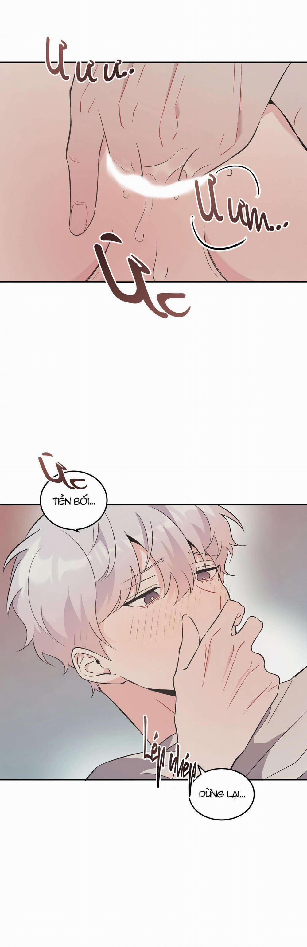 Vì Sự Vĩnh Cửu 13 trang 3