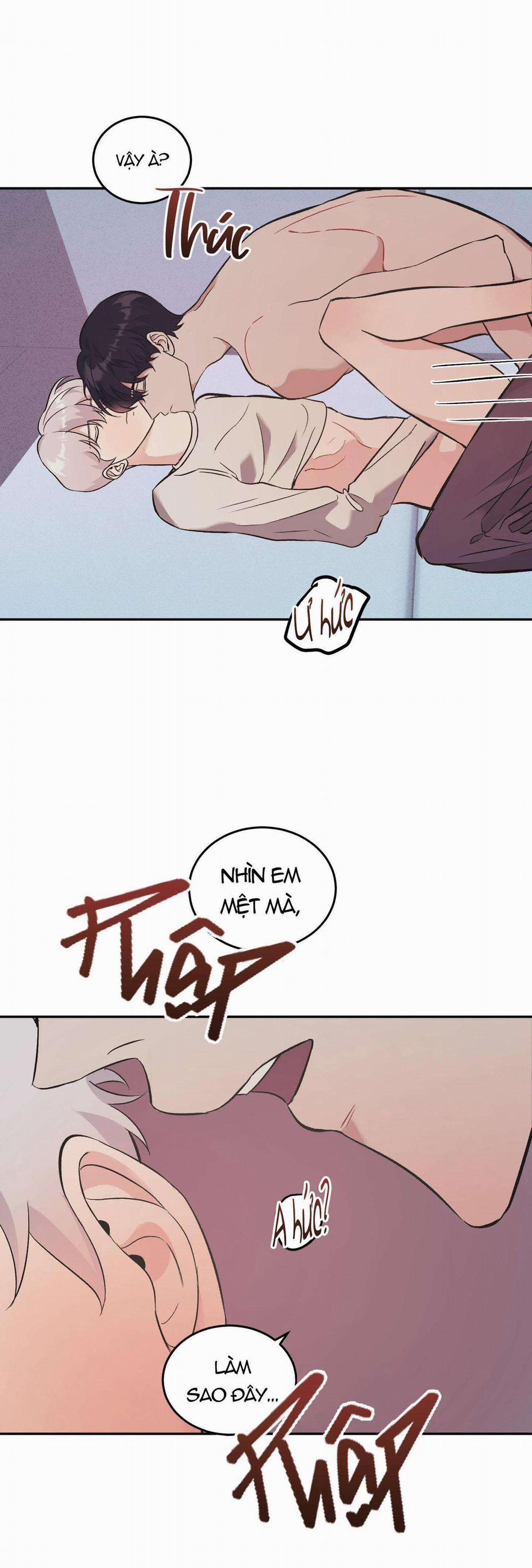 Vì Sự Vĩnh Cửu 13 trang 31