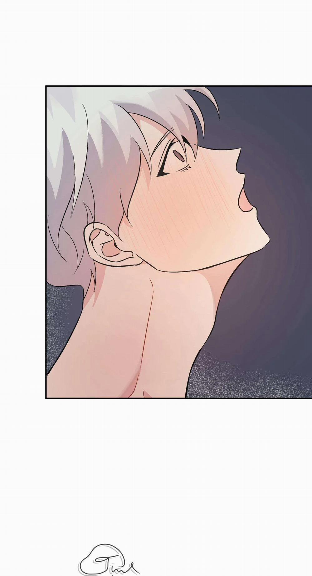 Vì Sự Vĩnh Cửu 13 trang 43