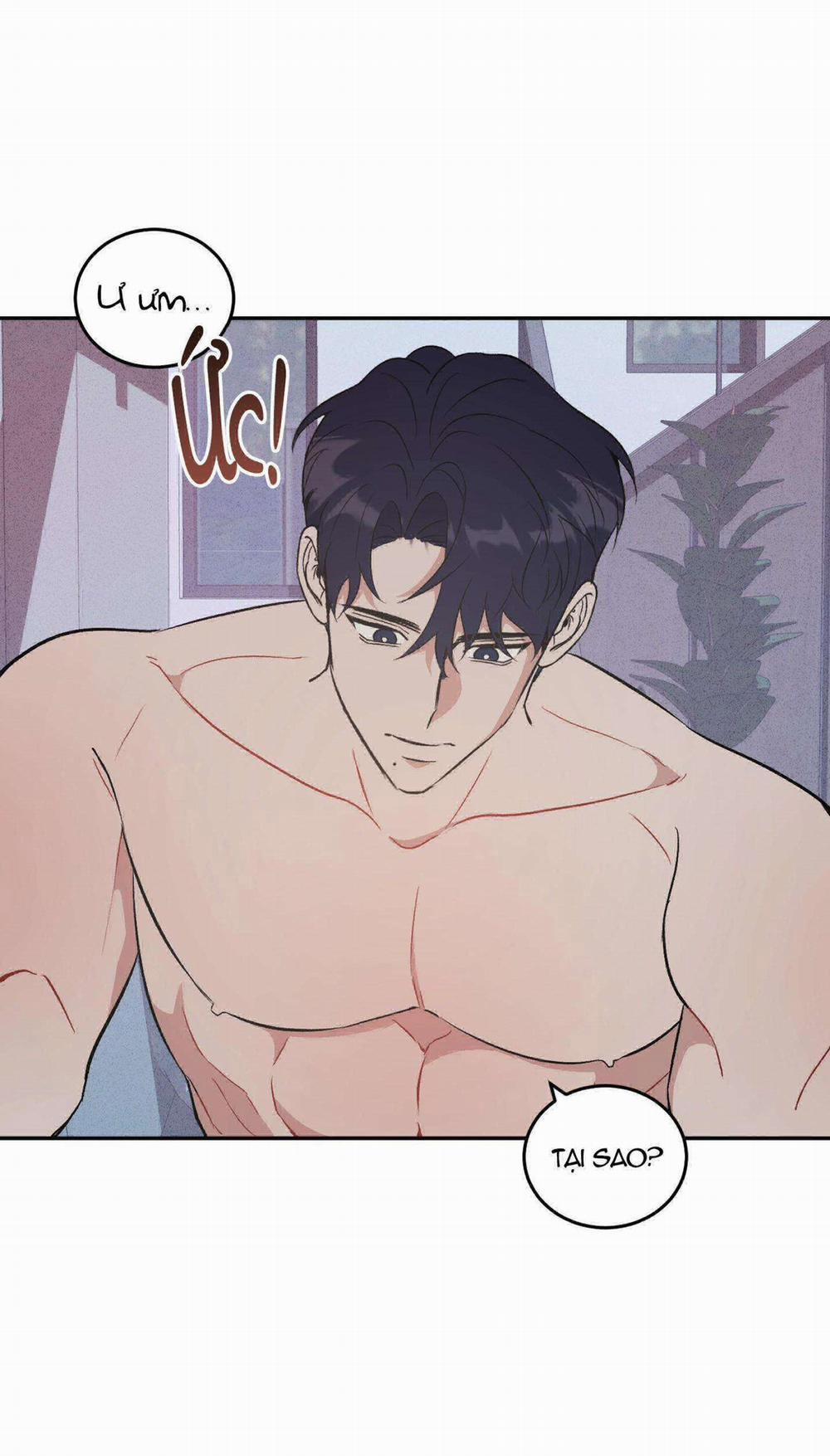 Vì Sự Vĩnh Cửu 13 trang 5