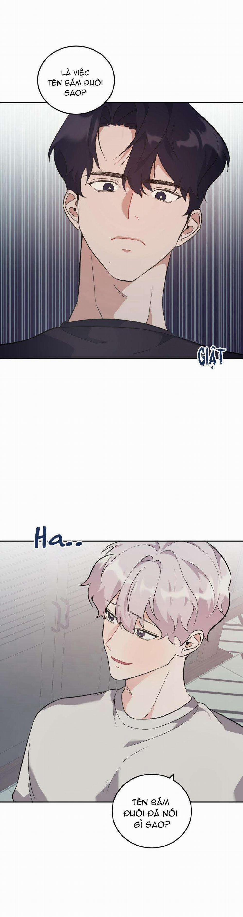 Vì Sự Vĩnh Cửu 15 trang 19