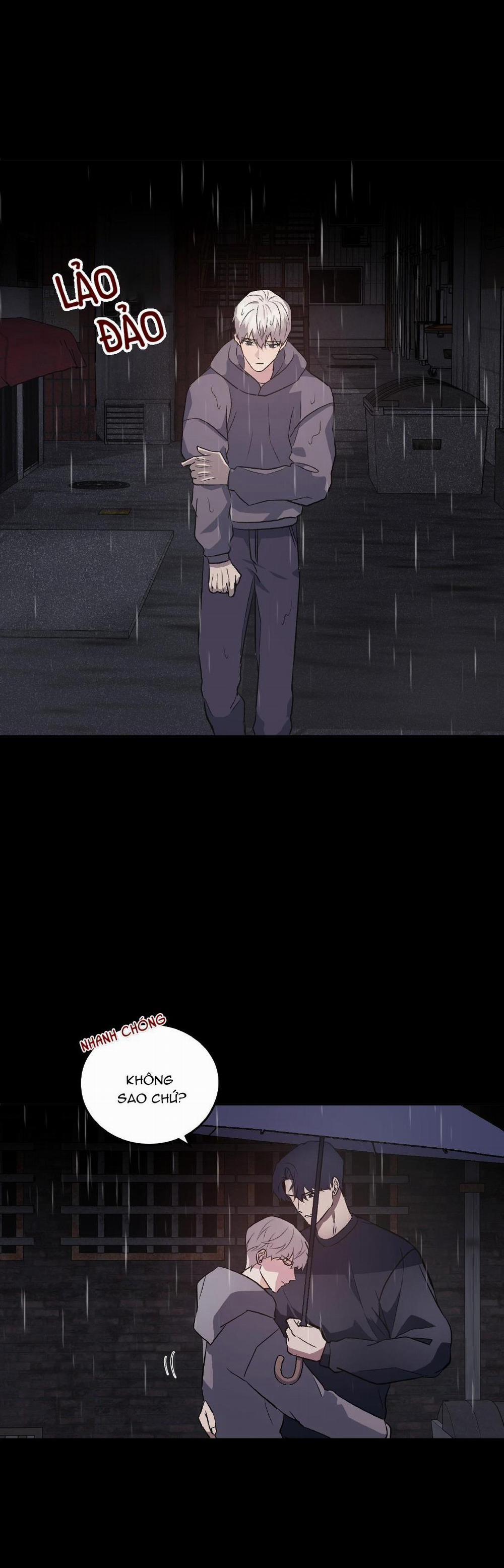 Vì Sự Vĩnh Cửu 18 trang 10