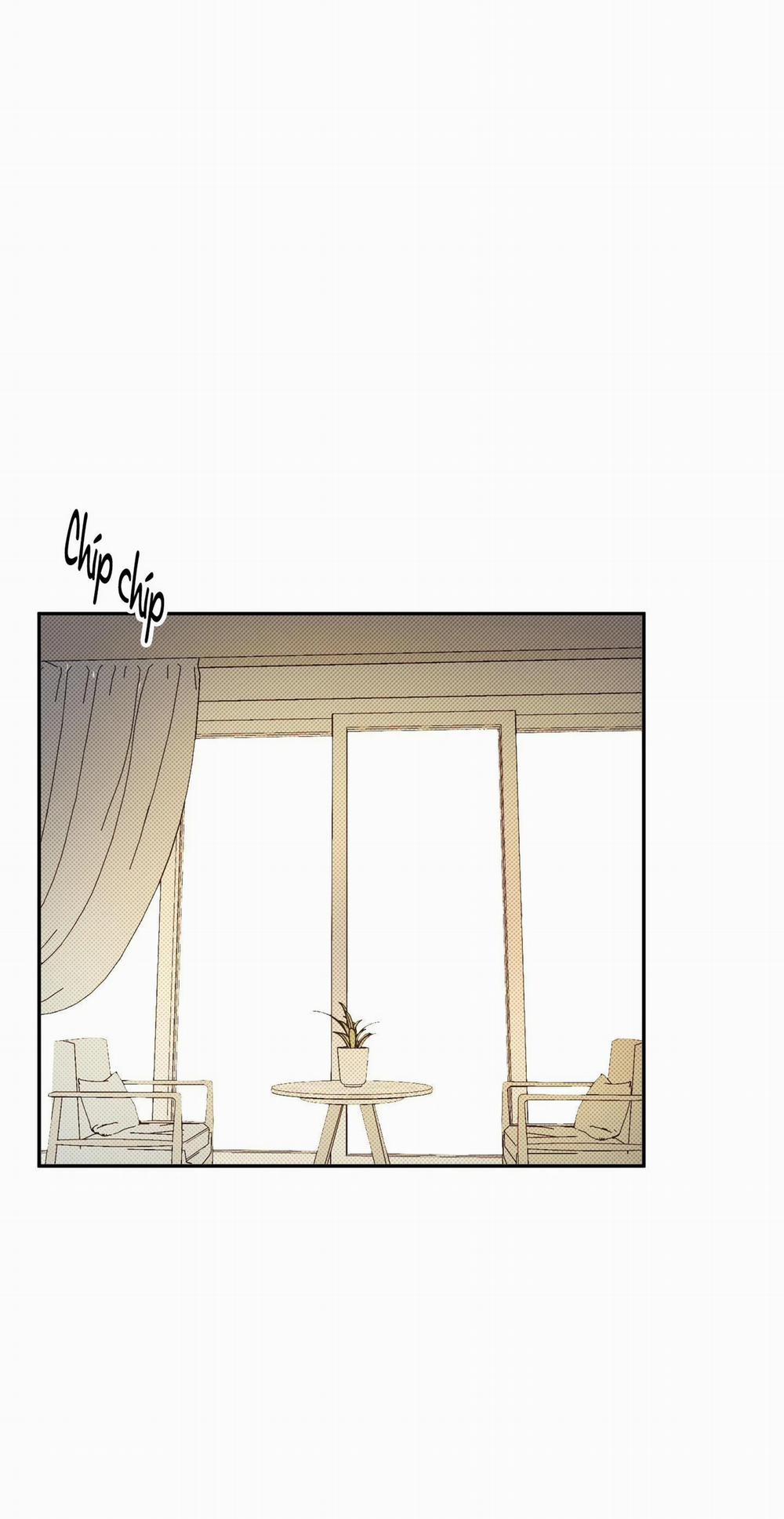 Vì Sự Vĩnh Cửu 2 trang 1