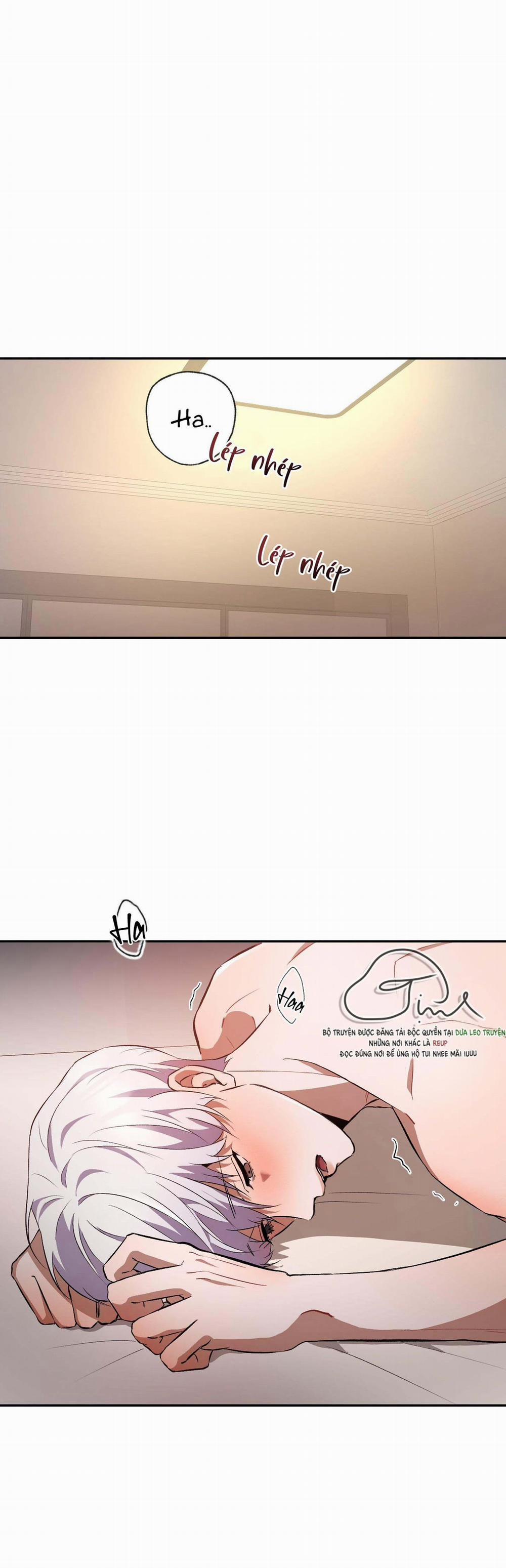 Vì Sự Vĩnh Cửu 22 trang 1