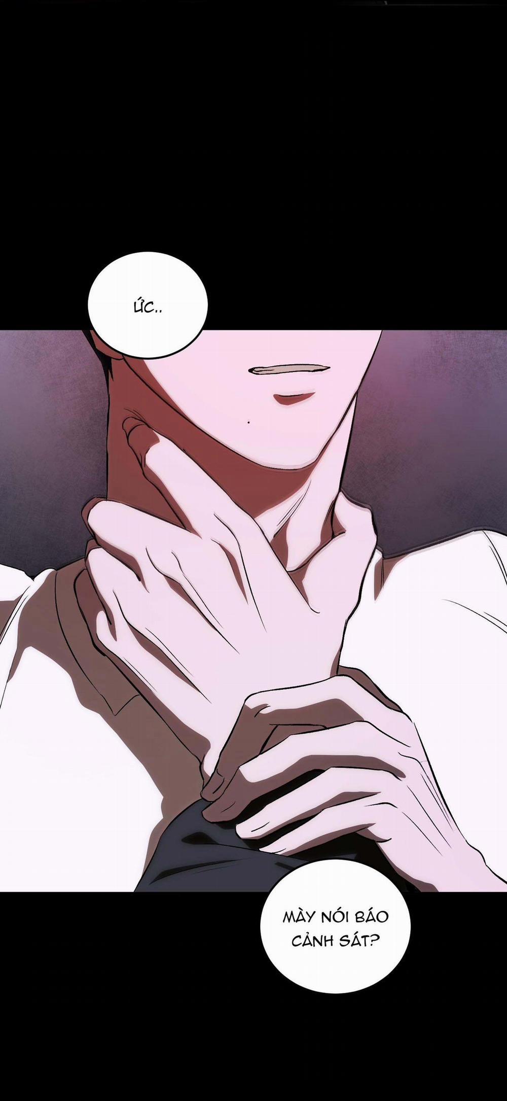 Vì Sự Vĩnh Cửu 24 trang 17