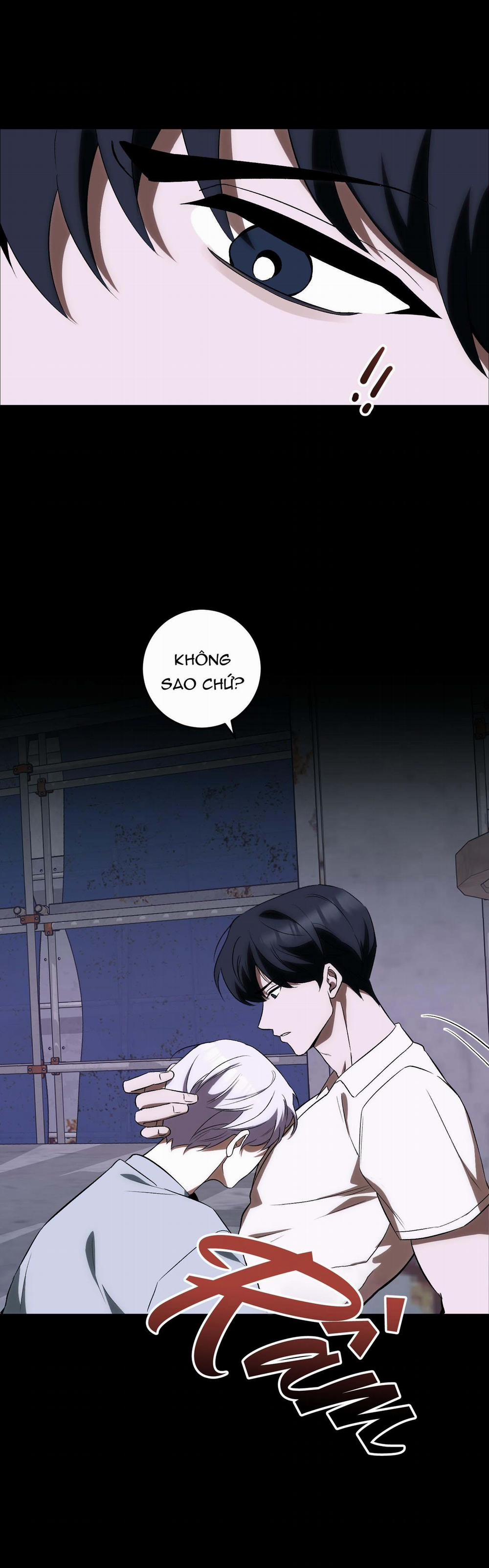 Vì Sự Vĩnh Cửu 24 trang 4