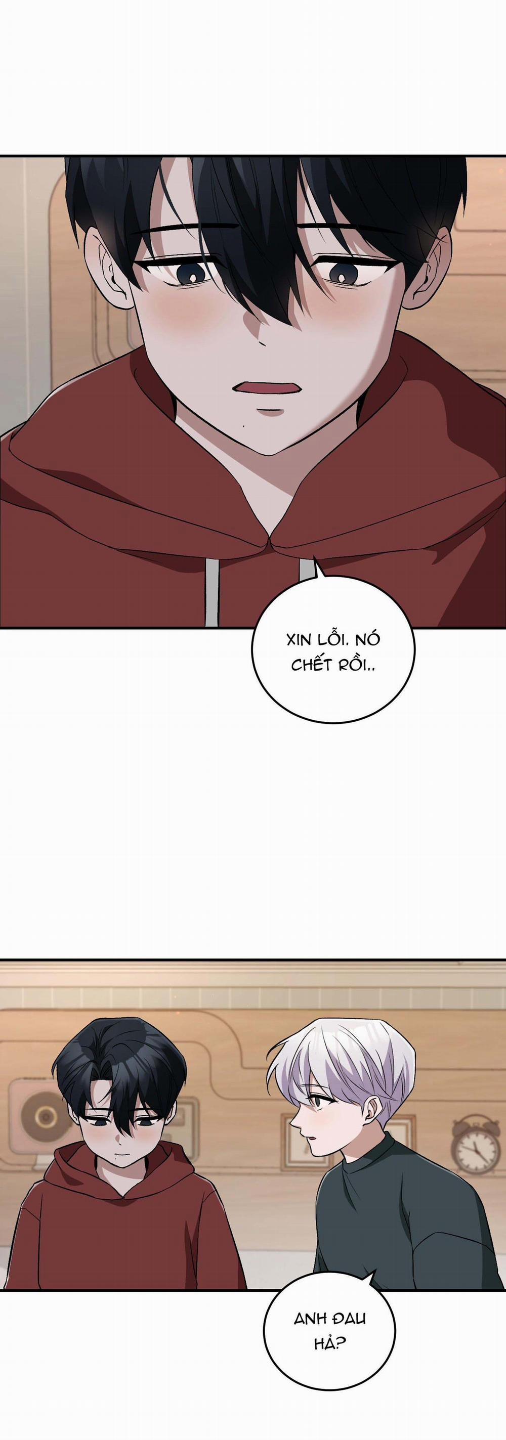 Vì Sự Vĩnh Cửu 26 trang 11