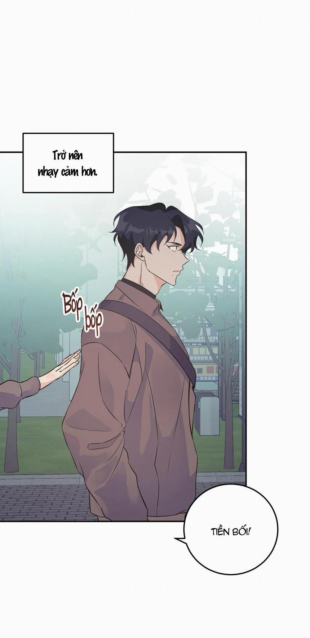 Vì Sự Vĩnh Cửu 5 trang 3