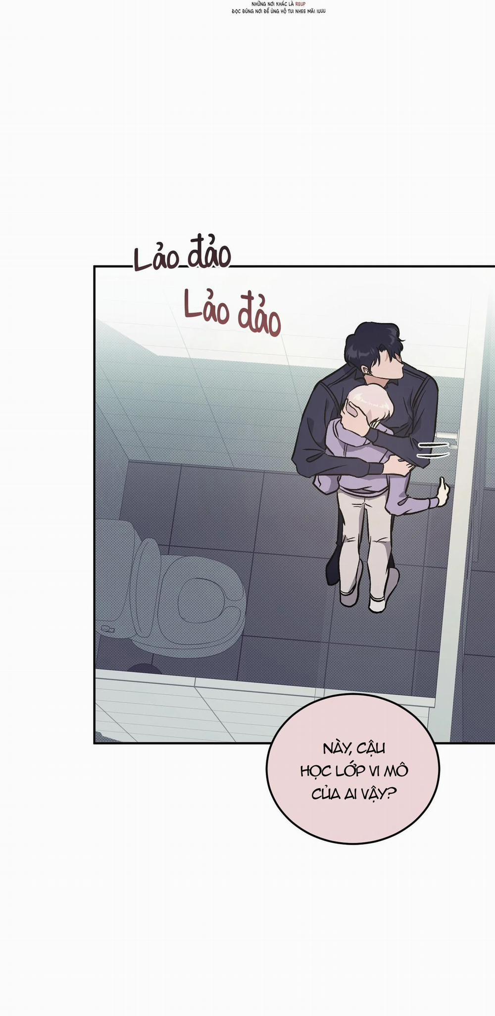 Vì Sự Vĩnh Cửu 8 trang 32