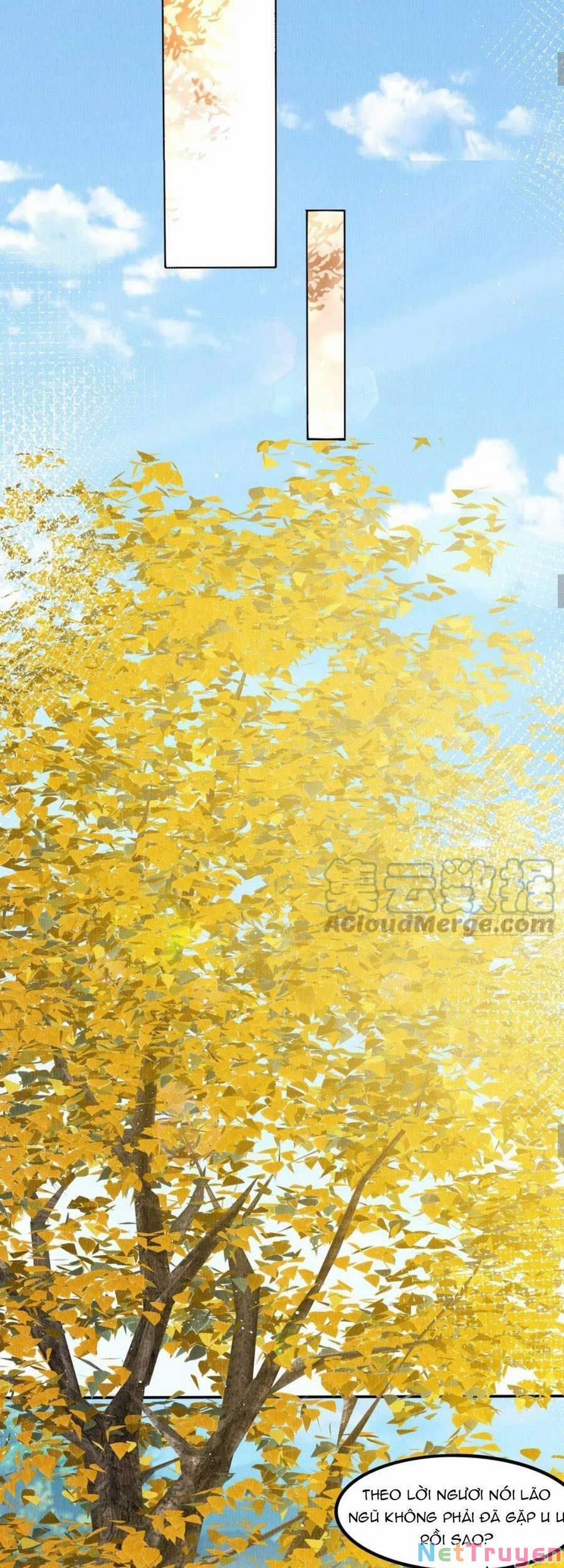 Vì Ta Trăm Hoa Cũng Phải Úa Tàn 41 trang 21