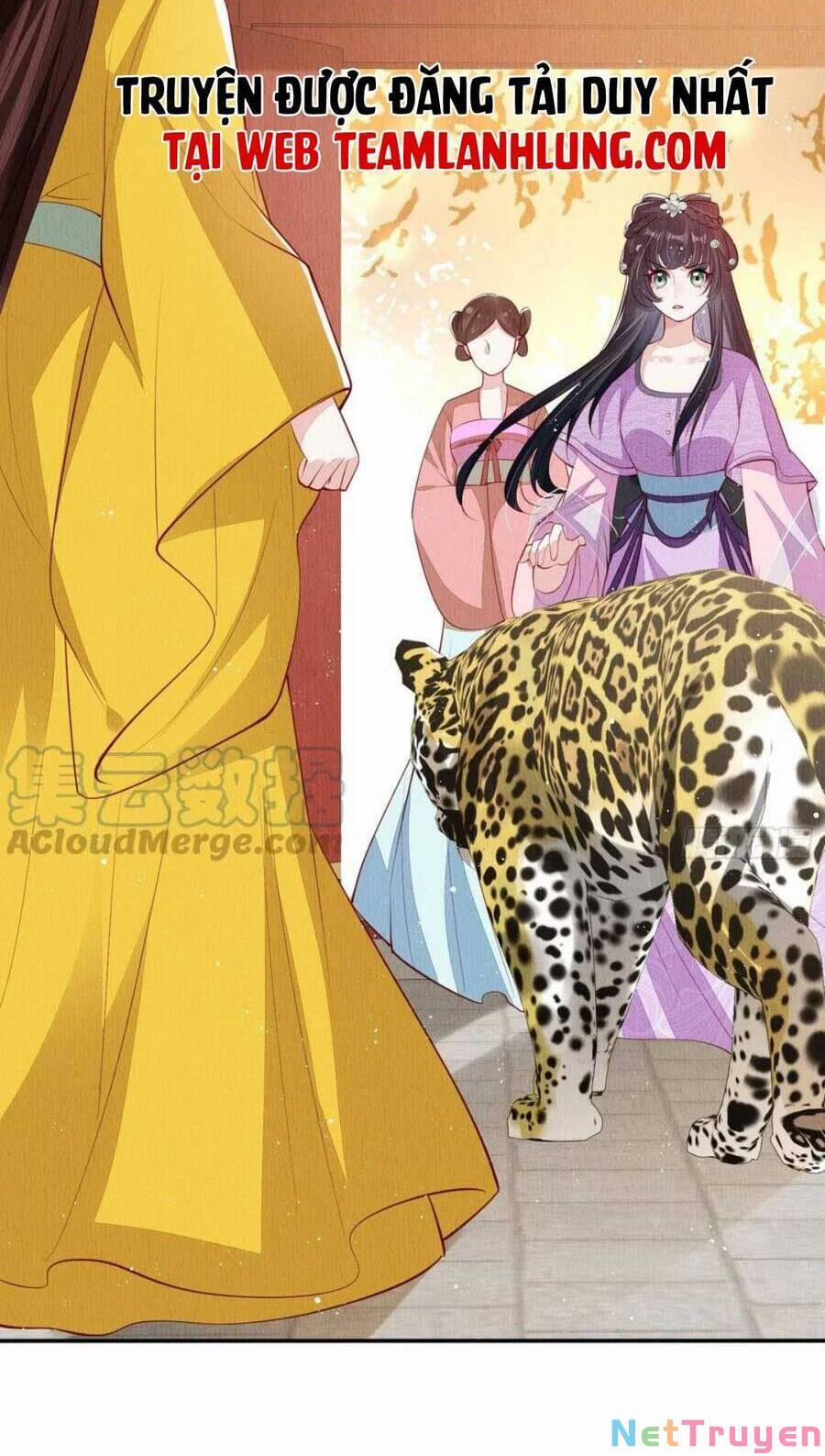 Vì Ta Trăm Hoa Cũng Phải Úa Tàn 41 trang 4