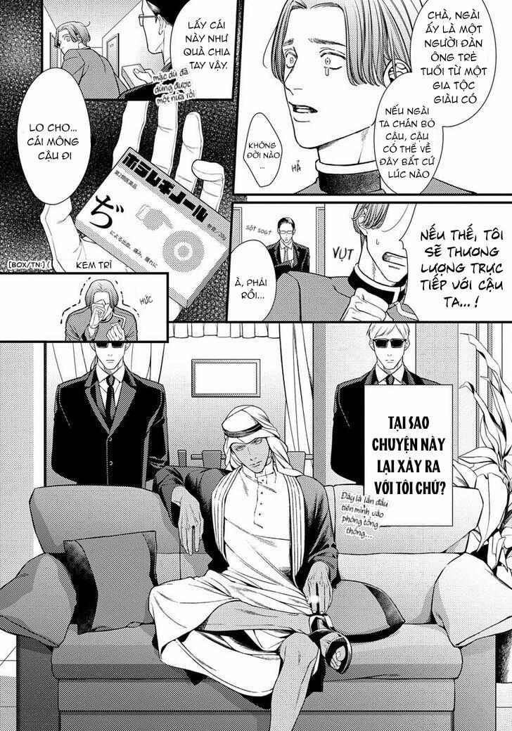 Vị Vua Quyến Rũ Mộng Mơ Về “Một Ngàn Lẻ Một Đêm 1 trang 15