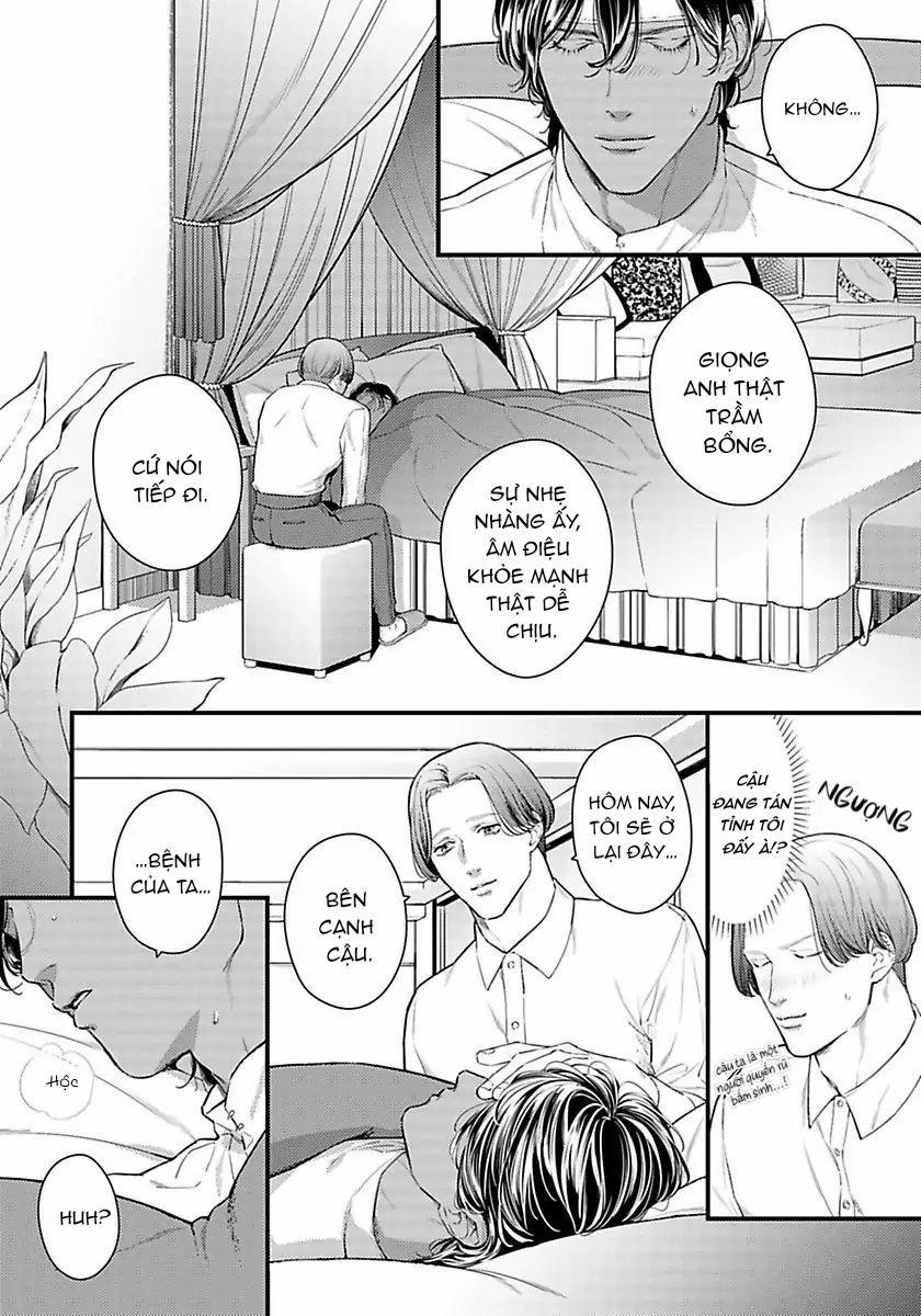 Vị Vua Quyến Rũ Mộng Mơ Về “Một Ngàn Lẻ Một Đêm 3 trang 12