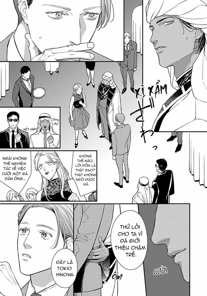 Vị Vua Quyến Rũ Mộng Mơ Về “Một Ngàn Lẻ Một Đêm 4 trang 17