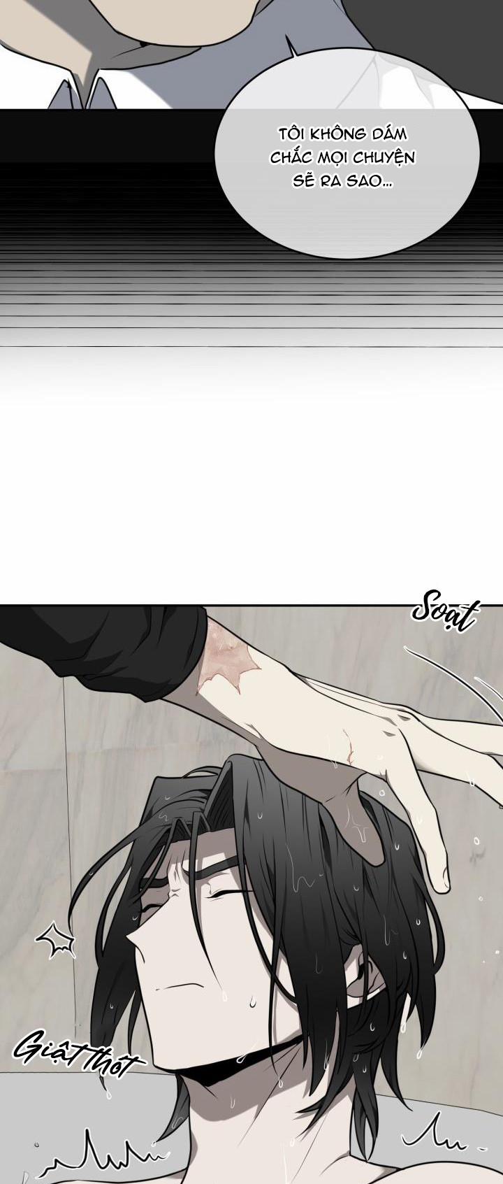 Vivarium 10.5 trang 19