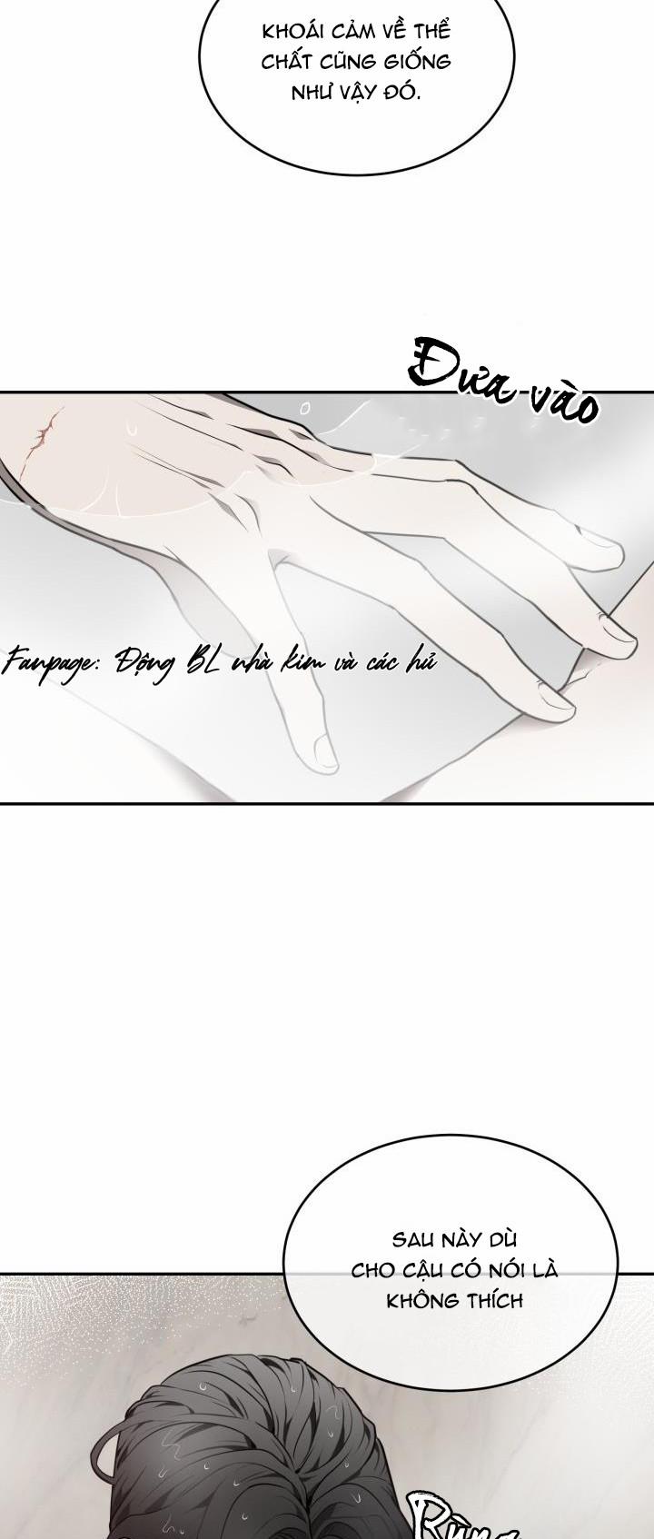 Vivarium 10.5 trang 21