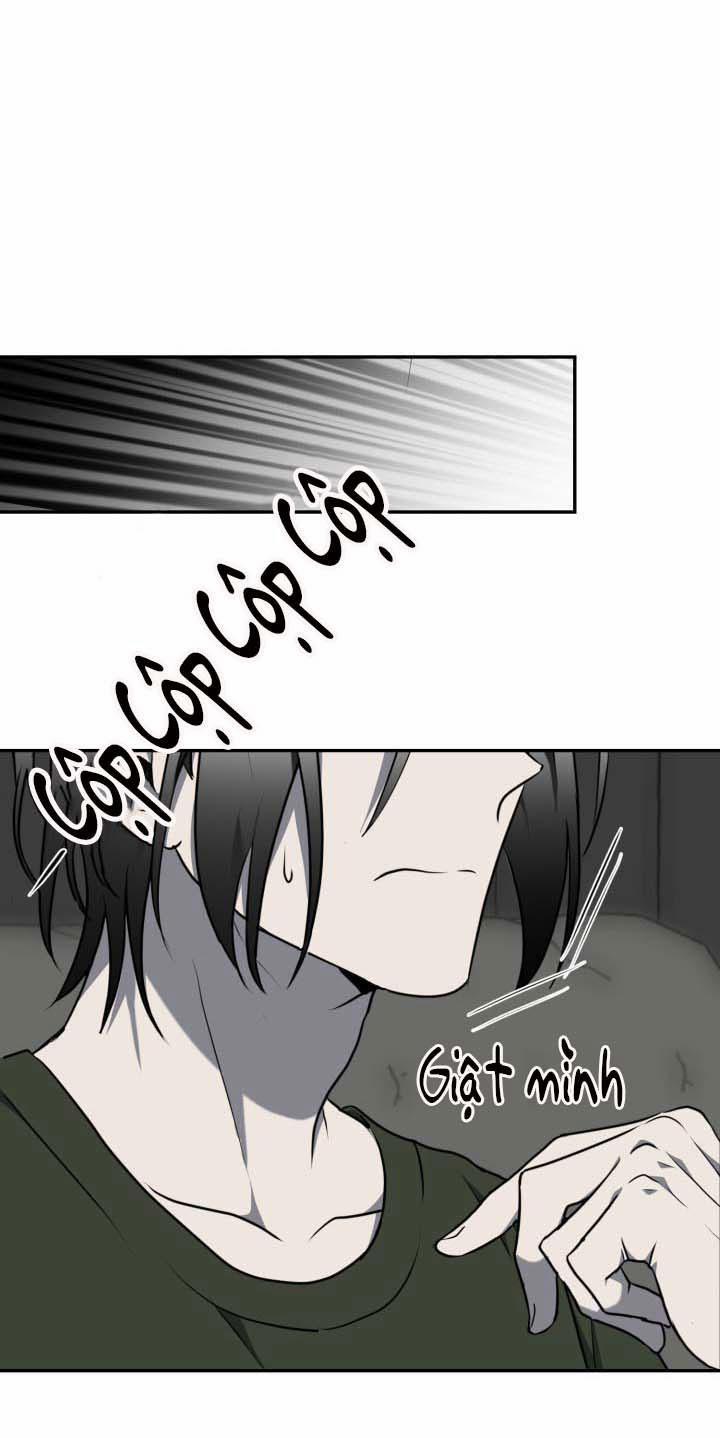 Vivarium 10 trang 14