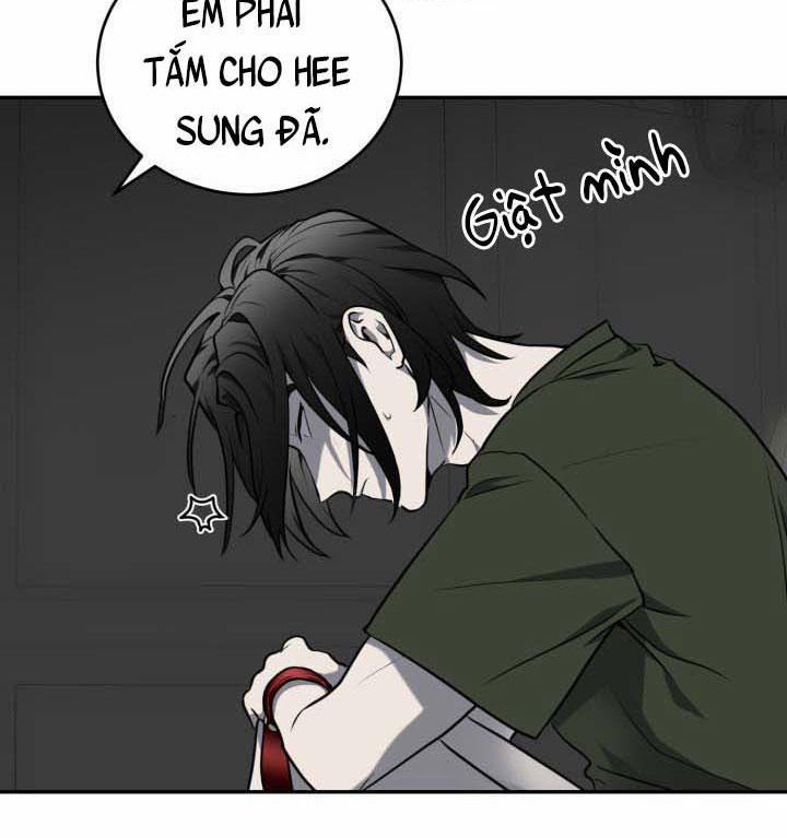 Vivarium 10 trang 20