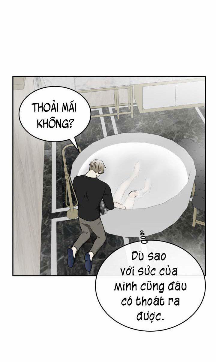 Vivarium 10 trang 26