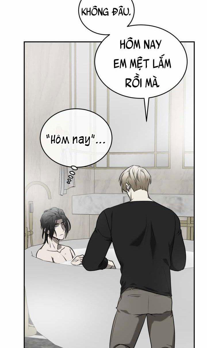 Vivarium 10 trang 41