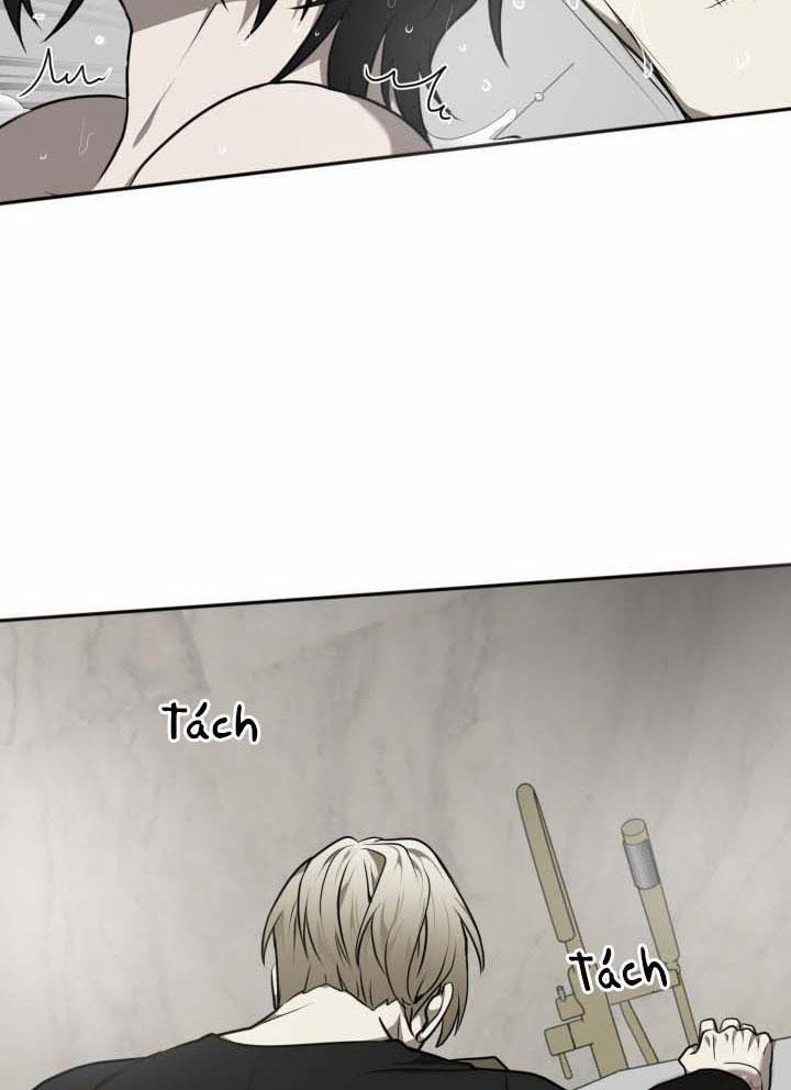 Vivarium 10 trang 54