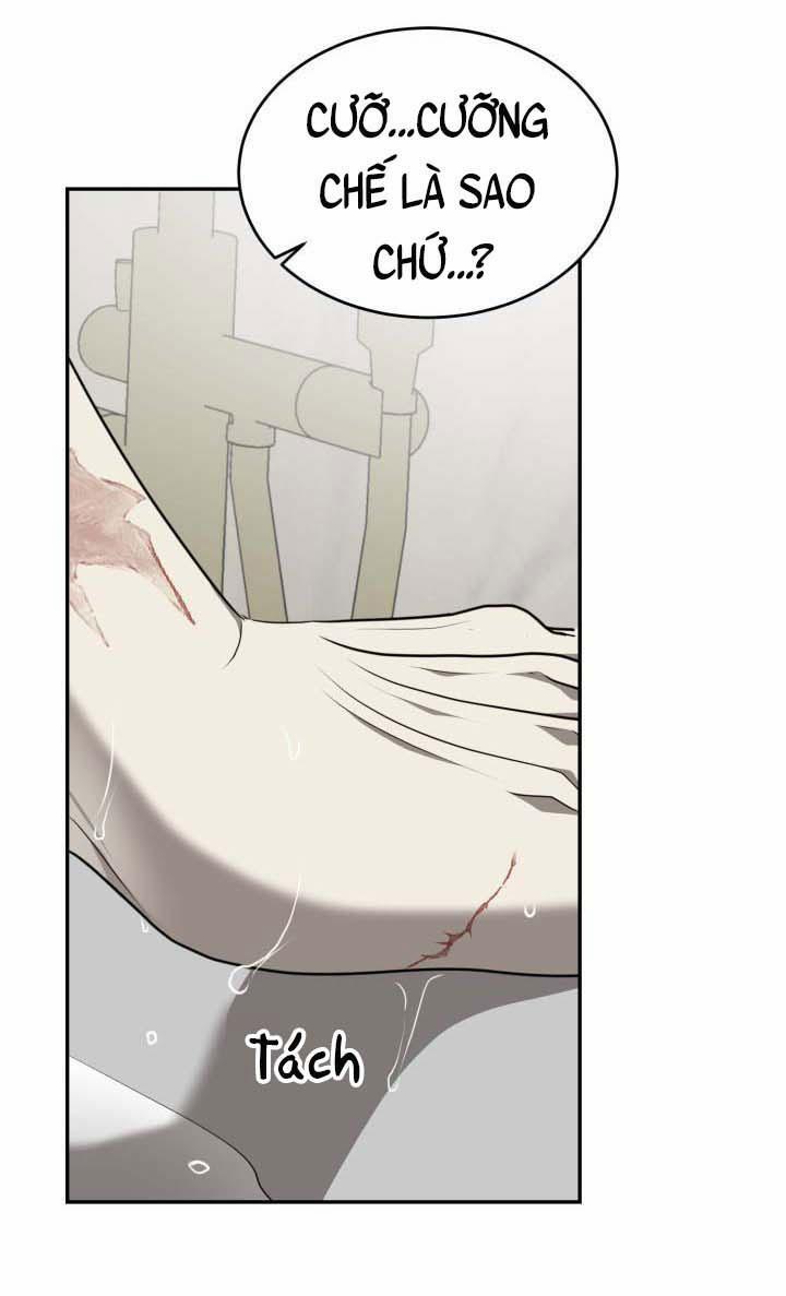 Vivarium 10 trang 60