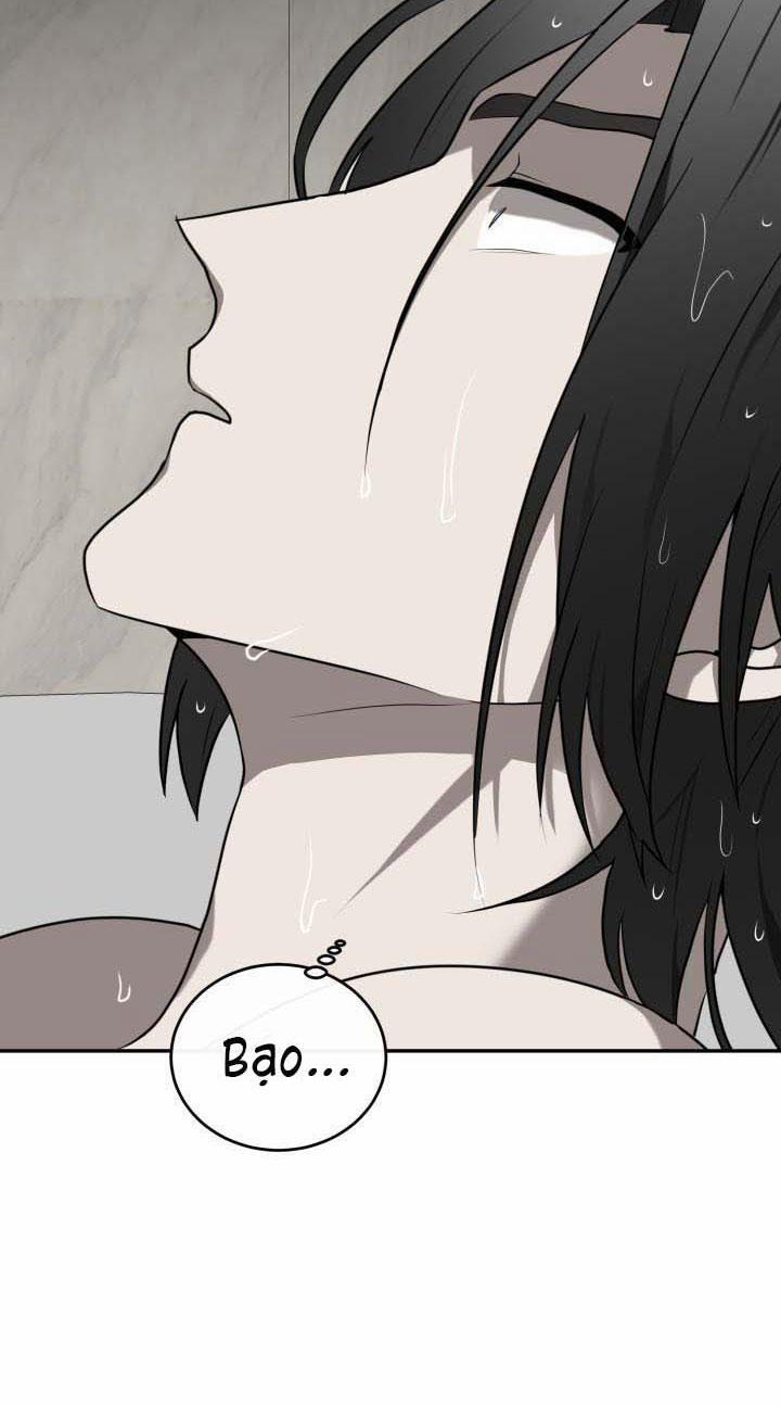 Vivarium 10 trang 63