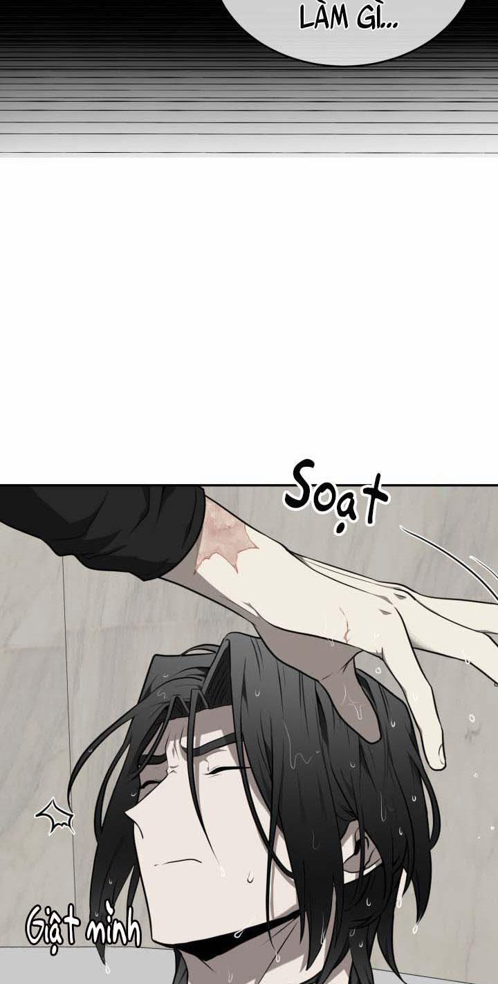 Vivarium 10 trang 67